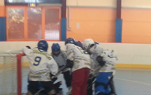 Samedi 9 février 2013 - Les benjamins à Saint Gratien - Asnières 1 vs Viarmes (15/2)